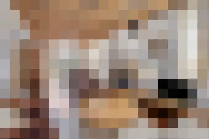 Antonie van Diemenstraat 6 Tilburg thumbnail 11