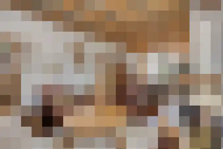 Antonie van Diemenstraat 6 Tilburg thumbnail 12