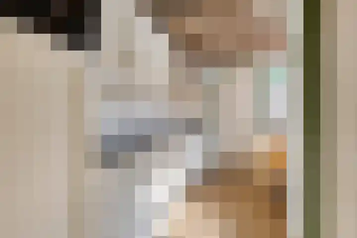 Antonie van Diemenstraat 6 Tilburg thumbnail 17