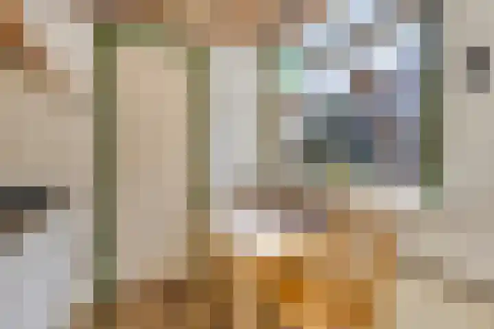 Antonie van Diemenstraat 6 Tilburg thumbnail 18