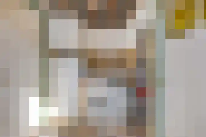 Antonie van Diemenstraat 6 Tilburg thumbnail 21