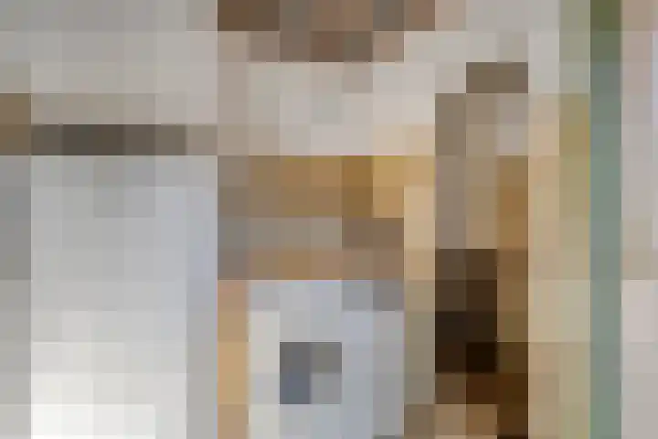 Antonie van Diemenstraat 6 Tilburg thumbnail 22
