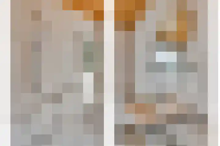 Antonie van Diemenstraat 6 Tilburg thumbnail 28