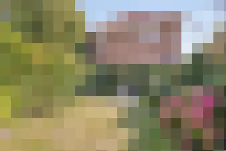 Antonie van Diemenstraat 6 Tilburg thumbnail 34