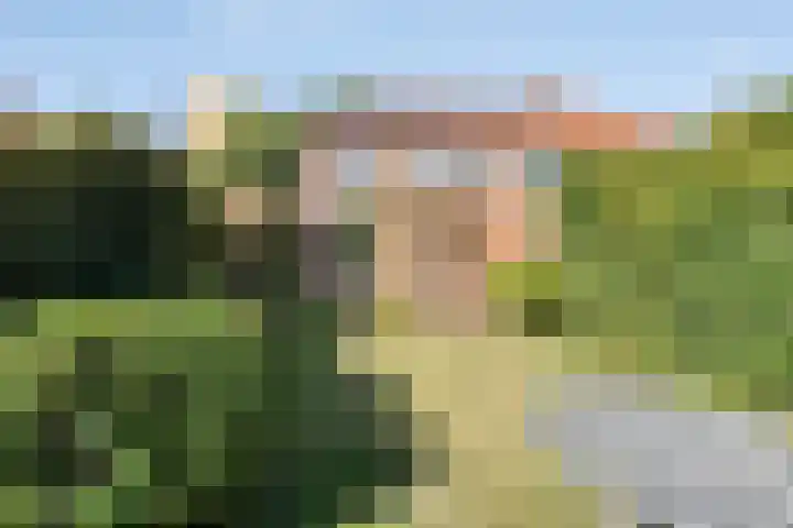 Antonie van Diemenstraat 6 Tilburg thumbnail 37