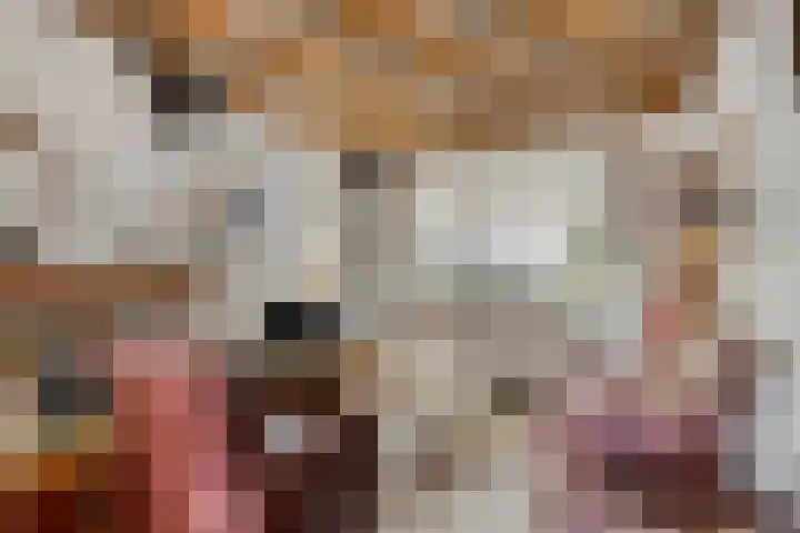 Antonie van Diemenstraat 6 Tilburg thumbnail 8