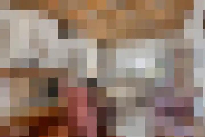 Antonie van Diemenstraat 6 Tilburg thumbnail 9