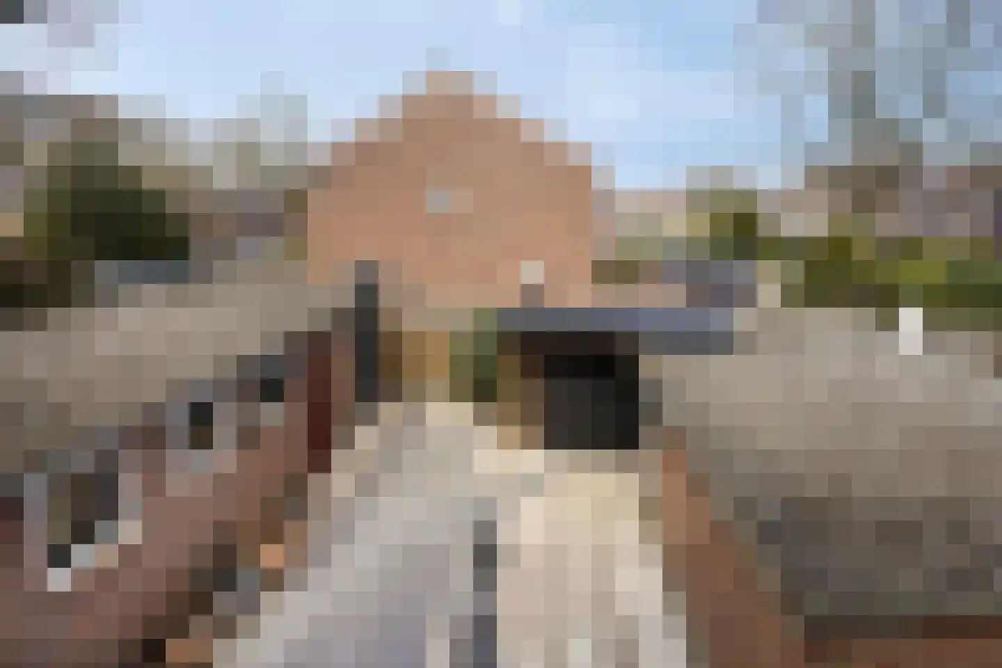 Antonie van Leeuwenhoeklaan 12 Soesterberg thumbnail 21