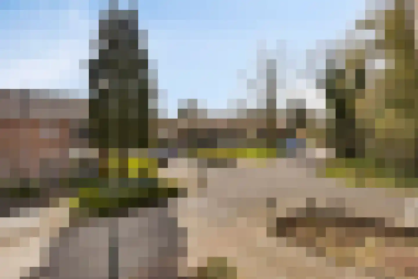 Antonie van Leeuwenhoeklaan 12 Soesterberg thumbnail 39