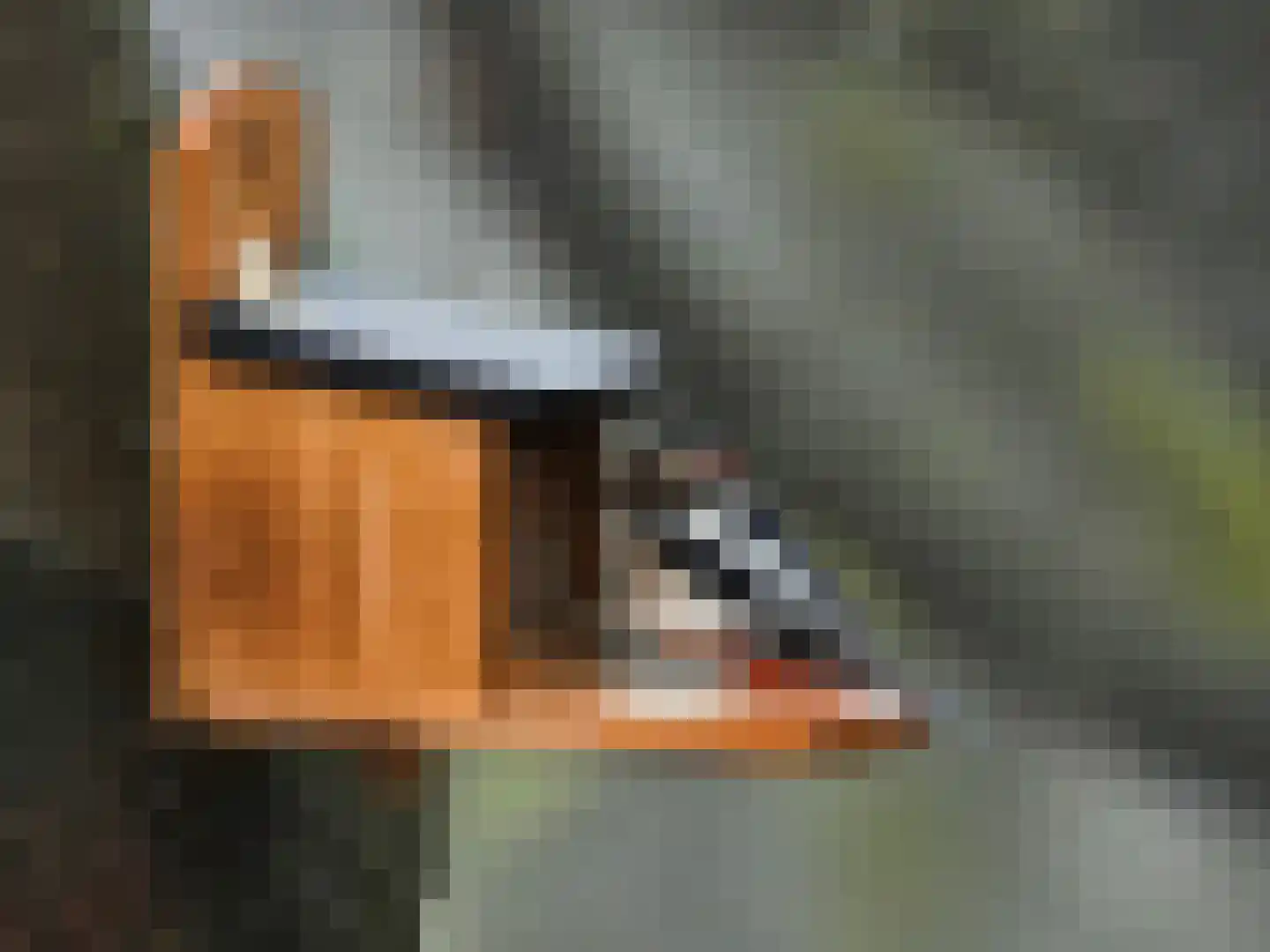 Antonie van Leeuwenhoeklaan 143 Soesterberg thumbnail 26