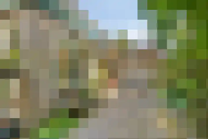 Antonie van Leeuwenhoeklaan 15 Soesterberg thumbnail 30