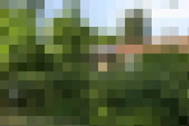Antonie van Leeuwenhoeklaan 15 Soesterberg thumbnail 39