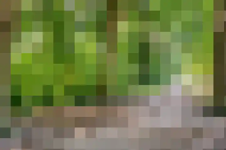 Antonie van Leeuwenhoeklaan 15 Soesterberg thumbnail 41