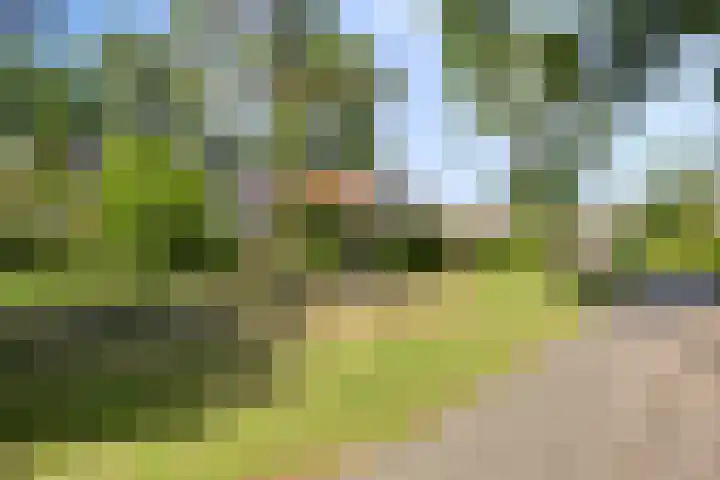 Antonie van Leeuwenhoeklaan 15 Soesterberg thumbnail 42