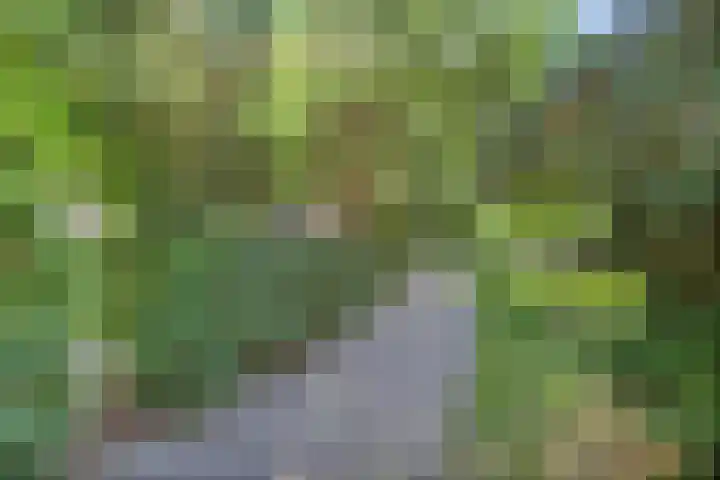 Antonie van Leeuwenhoeklaan 15 Soesterberg thumbnail 43