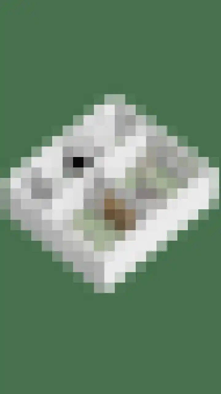 Antonie van Leeuwenhoeklaan 15 Soesterberg thumbnail 46