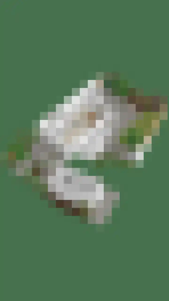 Antonie van Leeuwenhoeklaan 15 Soesterberg thumbnail 49