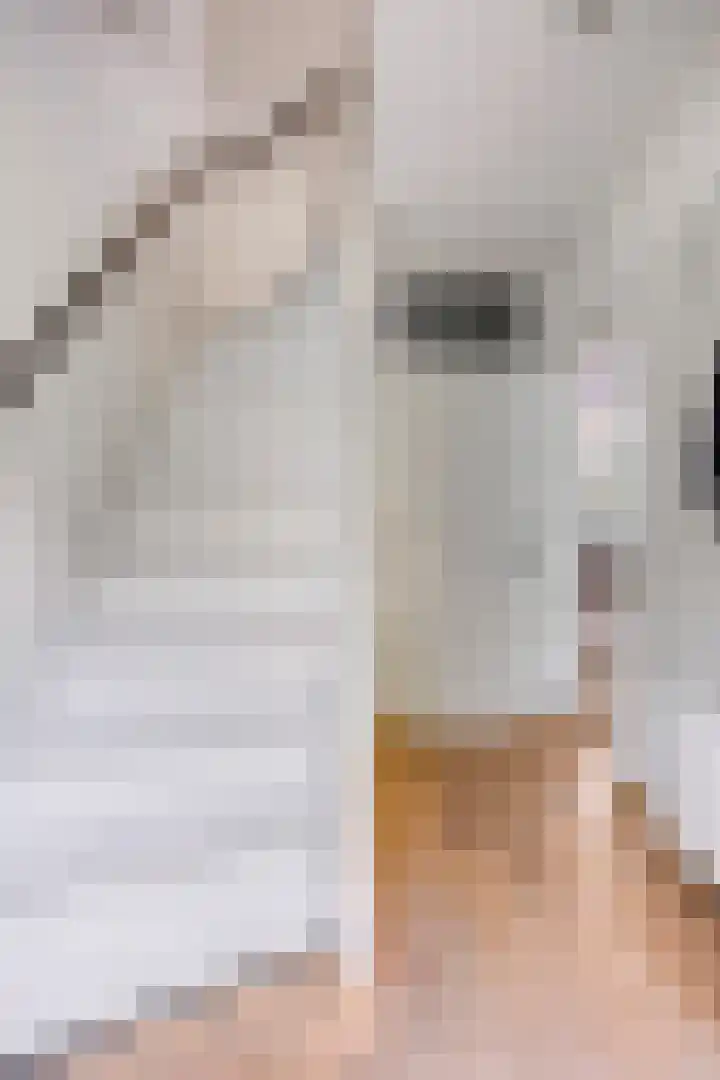 Antonie van Leeuwenhoeklaan 15 Soesterberg thumbnail 5