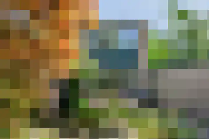 Antonie van Leeuwenhoeklaan 15 Soesterberg thumbnail 56