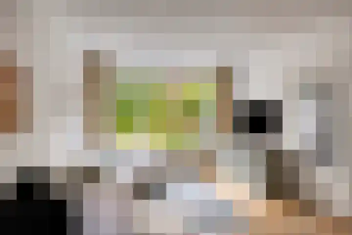 Antonie van Leeuwenhoeklaan 15 Soesterberg thumbnail 7