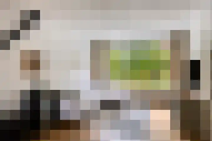 Antonie van Leeuwenhoeklaan 15 Soesterberg thumbnail 8