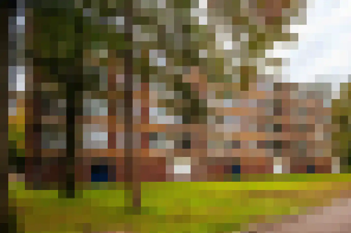 Antonie van Leeuwenhoeklaan 163 Soesterberg thumbnail 22