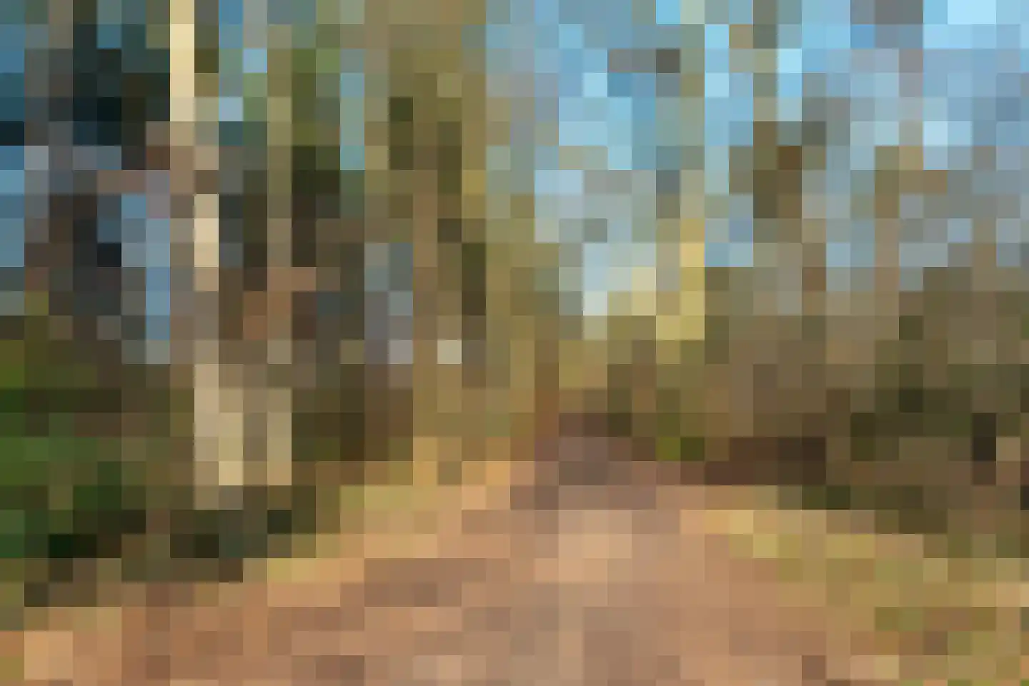 Antonie van Leeuwenhoeklaan 173 Soesterberg thumbnail 34