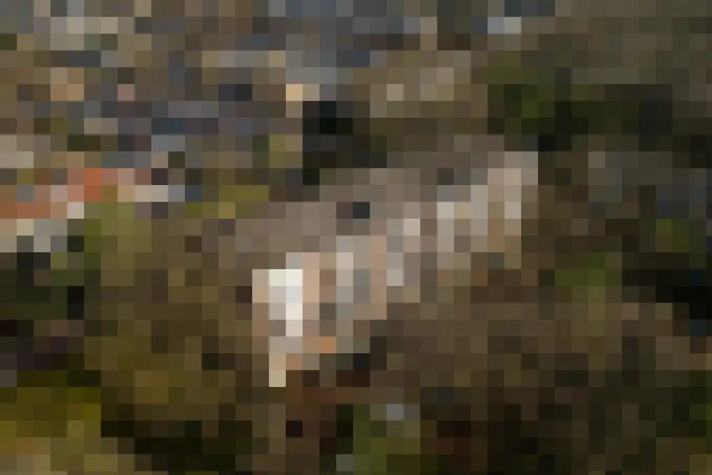 Antonie van Leeuwenhoeklaan 173 Soesterberg thumbnail 5