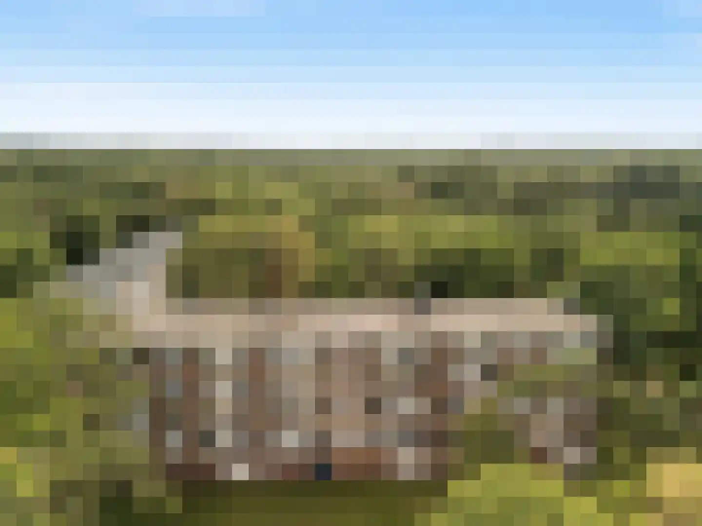 Antonie van Leeuwenhoeklaan 179 Soesterberg thumbnail 21