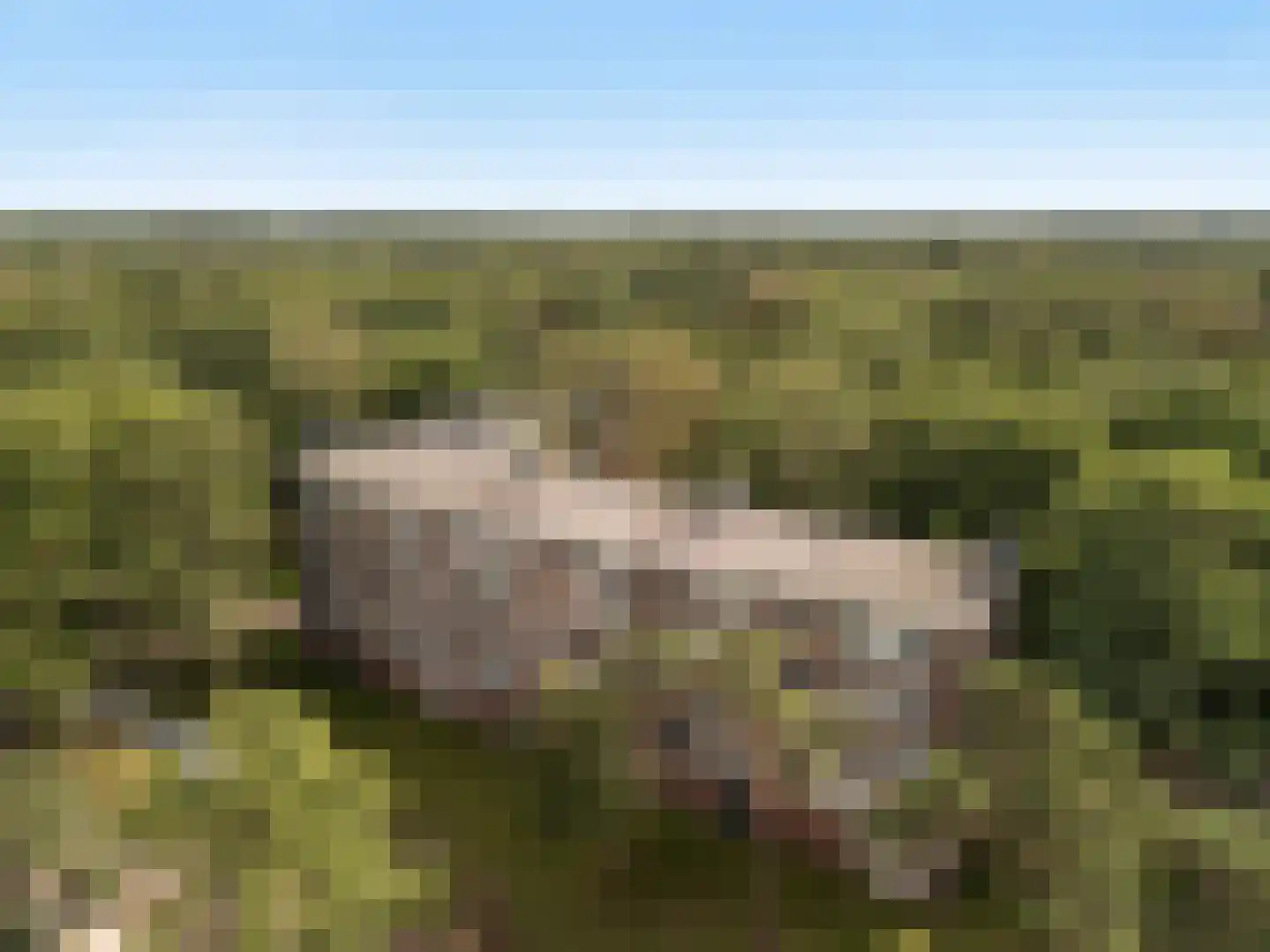 Antonie van Leeuwenhoeklaan 179 Soesterberg thumbnail 24