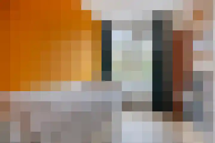 Antonie van Leeuwenhoeklaan 201 Soesterberg thumbnail 25