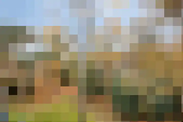 Antonie van Leeuwenhoeklaan 201 Soesterberg thumbnail 27