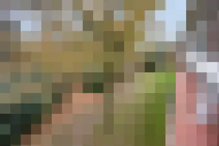 Antonie van Leeuwenhoeklaan 201 Soesterberg thumbnail 28