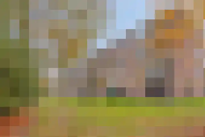 Antonie van Leeuwenhoeklaan 201 Soesterberg thumbnail 6