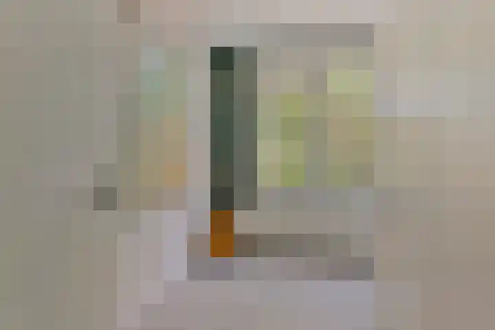Antonie van Leeuwenhoeklaan 207 Soesterberg thumbnail 11