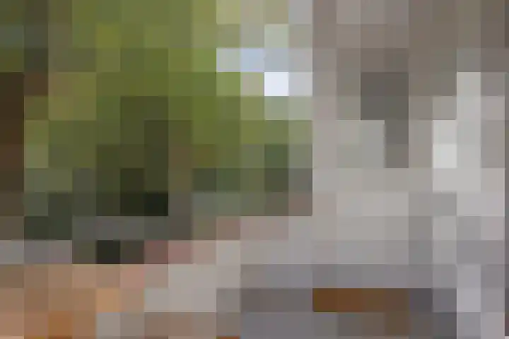 Antonie van Leeuwenhoeklaan 207 Soesterberg thumbnail 16