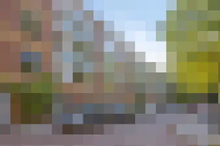 Antonie van Leeuwenhoeklaan 207 Soesterberg thumbnail 19