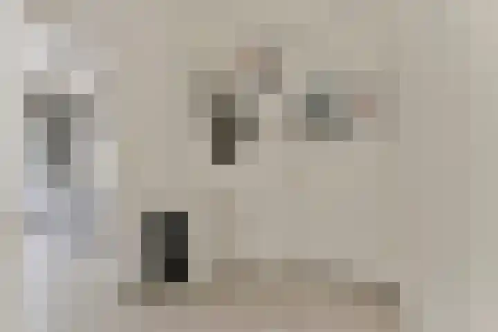 Antonie van Leeuwenhoeklaan 207 Soesterberg thumbnail 6