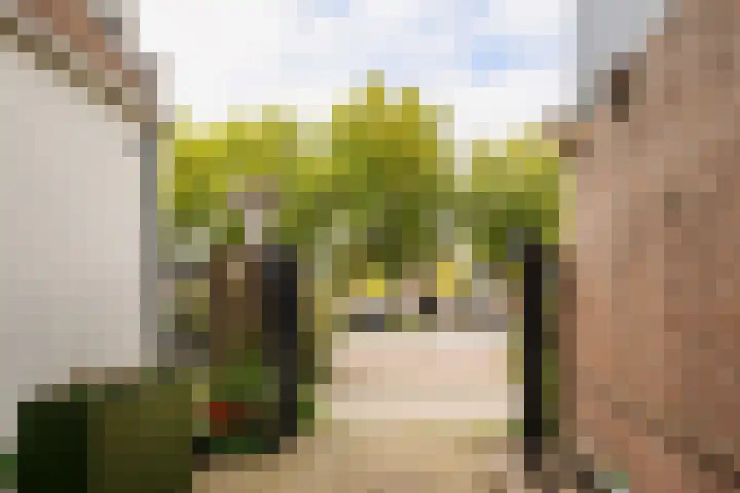 Antoniestraat 69 Haarlem thumbnail 10