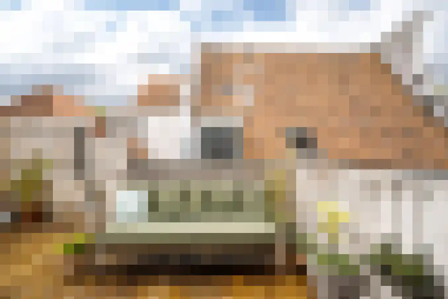 Antoniestraat 69 Haarlem thumbnail 33