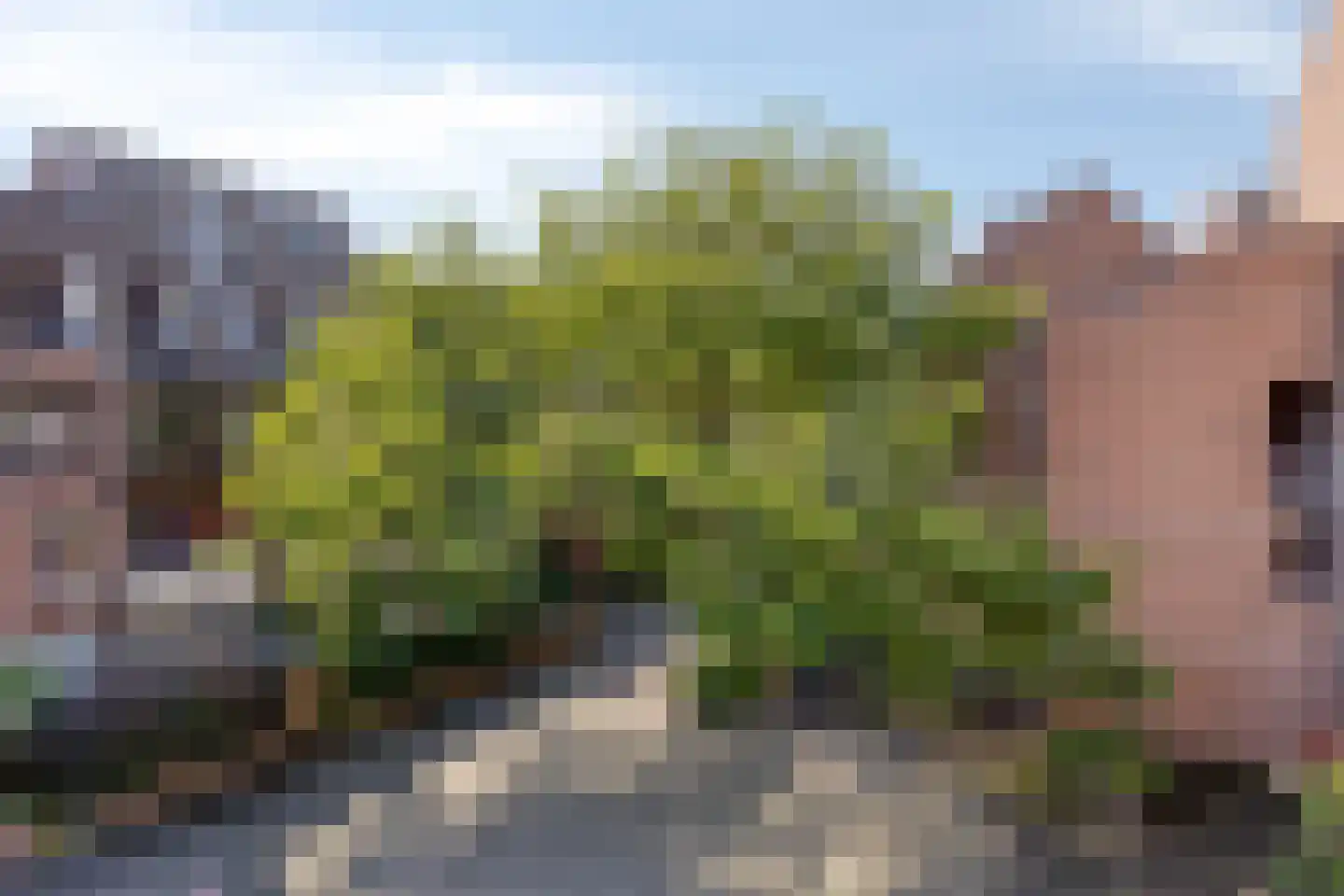 Antonietenstraat 129 Maastricht thumbnail 8