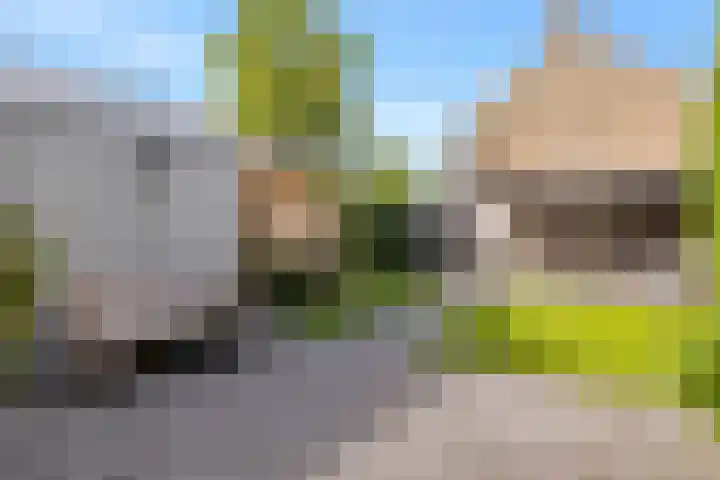 Antoniszstraat 9 Sint Maartensbrug thumbnail 5