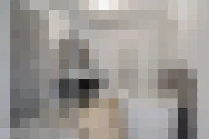 Antonius Heggelaan 32 Den Haag thumbnail 19