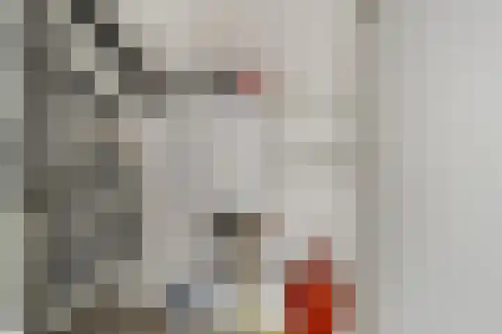 Antonius Heggelaan 32 Den Haag thumbnail 28