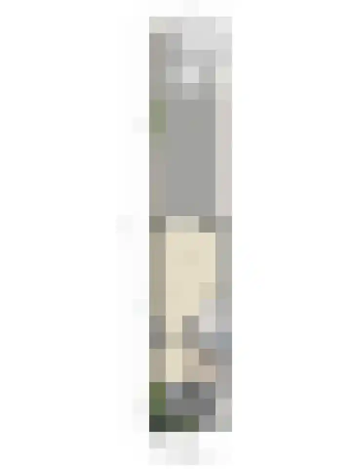 Antonius Heggelaan 32 Den Haag thumbnail 40