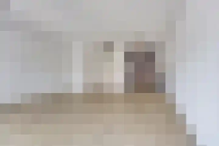 Antonius Heggelaan 32 Den Haag thumbnail 5