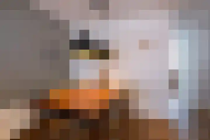 Antonius Matthaeuslaan 10 Utrecht thumbnail 13
