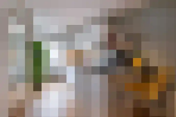 Antonius Matthaeuslaan 10 Utrecht thumbnail 14