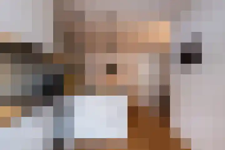 Antonius Matthaeuslaan 10 Utrecht thumbnail 15