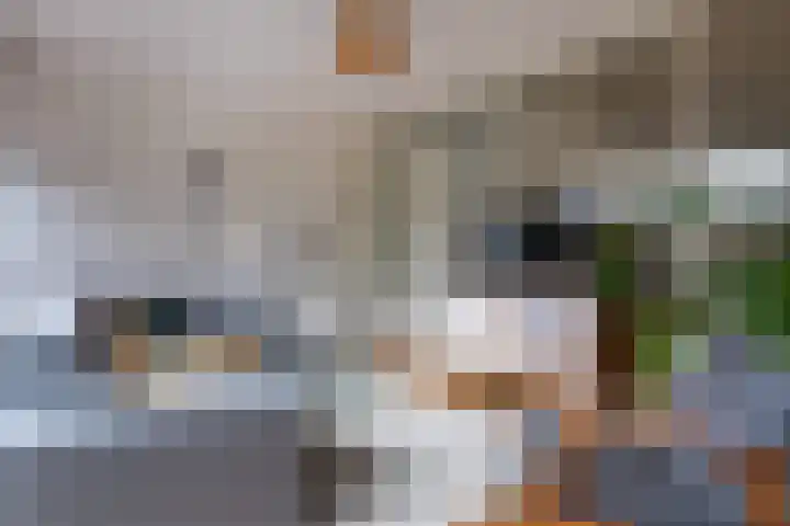 Antonius Matthaeuslaan 10 Utrecht thumbnail 6